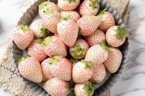 水莓100完全国产免费