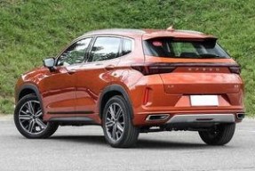 国产精品2019,匠心独运，品质卓越的年度盘点