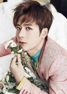 娱乐吃瓜君王嘉尔小说